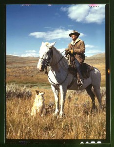 Shepherd with his horse and dog on Gravelly Range, Madison County, Montana, 1942. Russell Lee