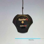 Spyder on Computer Screen