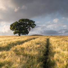 UK’s Best of the Year Landscape Image Collection