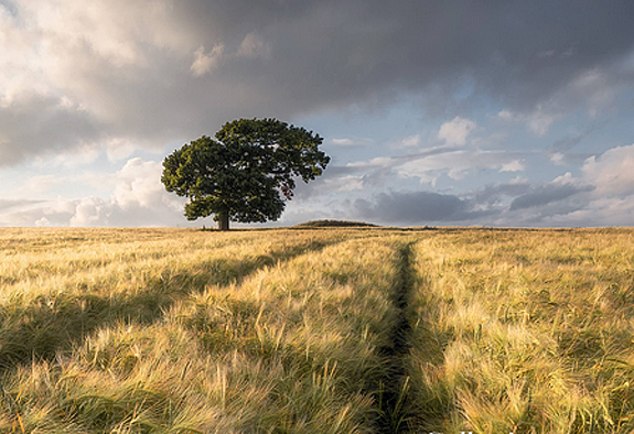 UK’s Best of the Year Landscape Image Collection